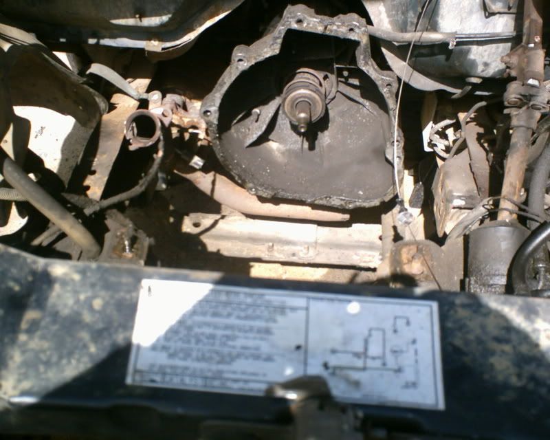 SUNP0007.jpg