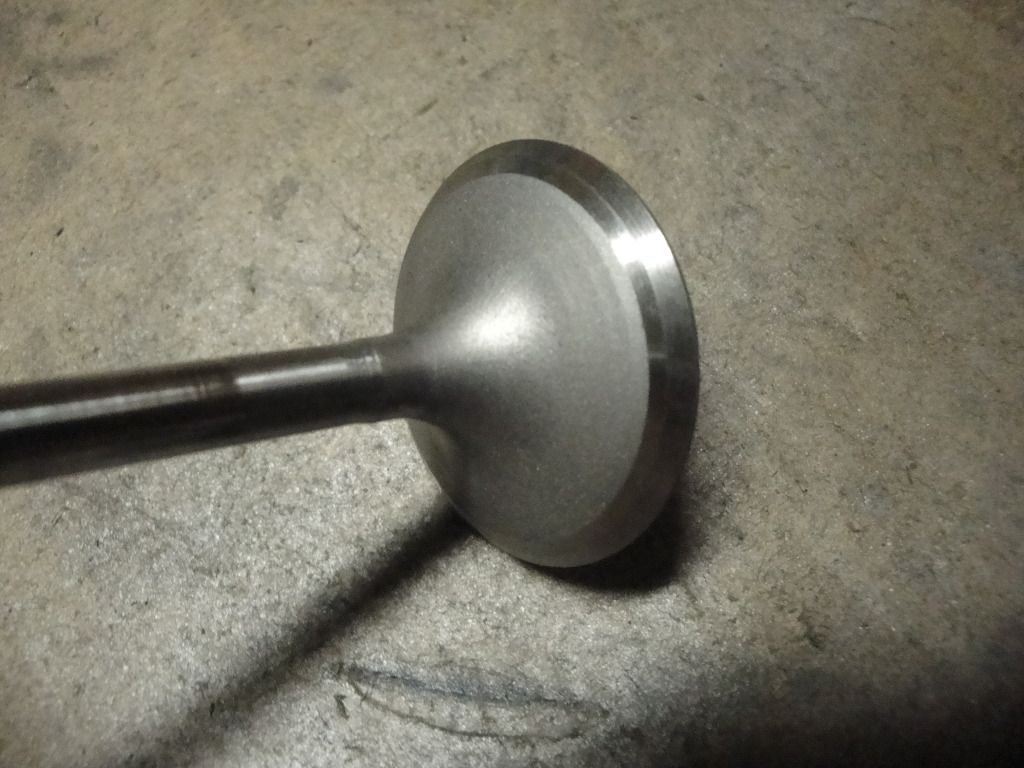 DSC01926.jpg