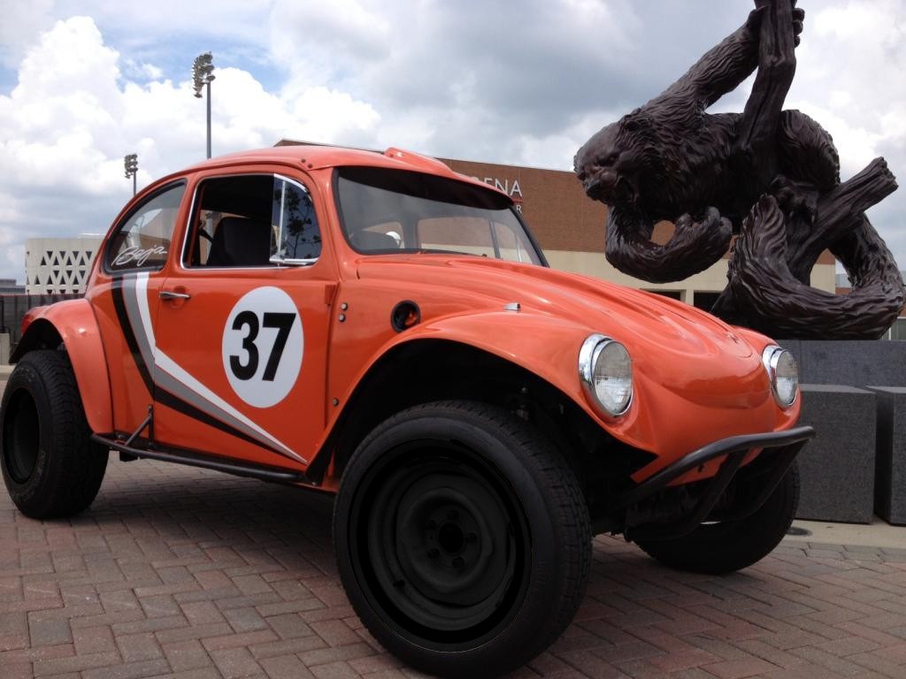 Big Orange Bug