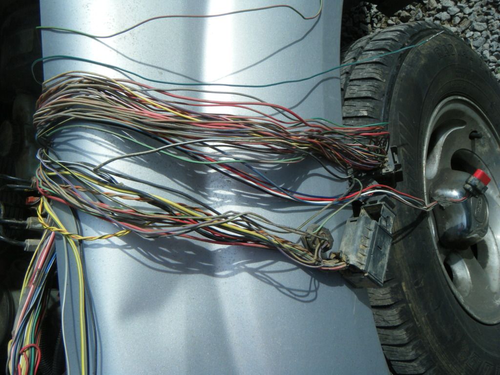 DSCF5607.jpg