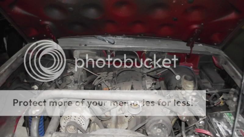 DSCF5338.jpg