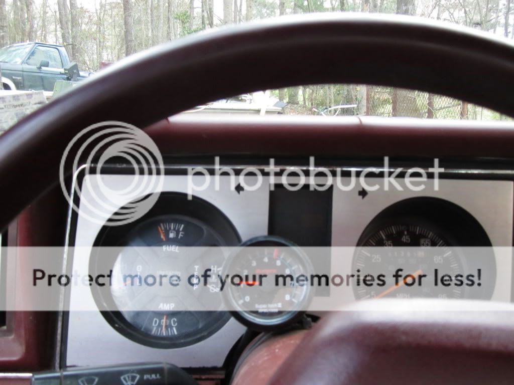 MorePictures233.jpg