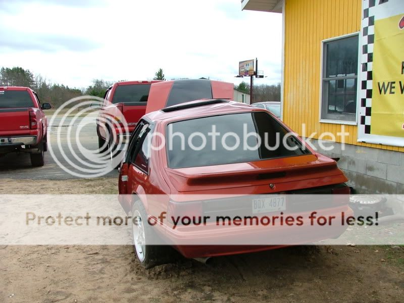 mustang036.jpg