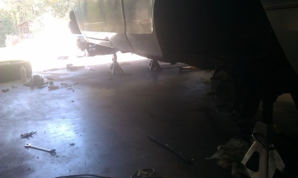 IMAG0460.jpg
