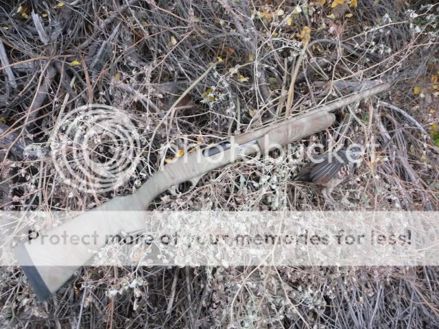 huntin003-1.jpg