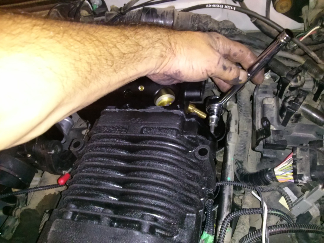 4LV6CologneInstall-79.jpg