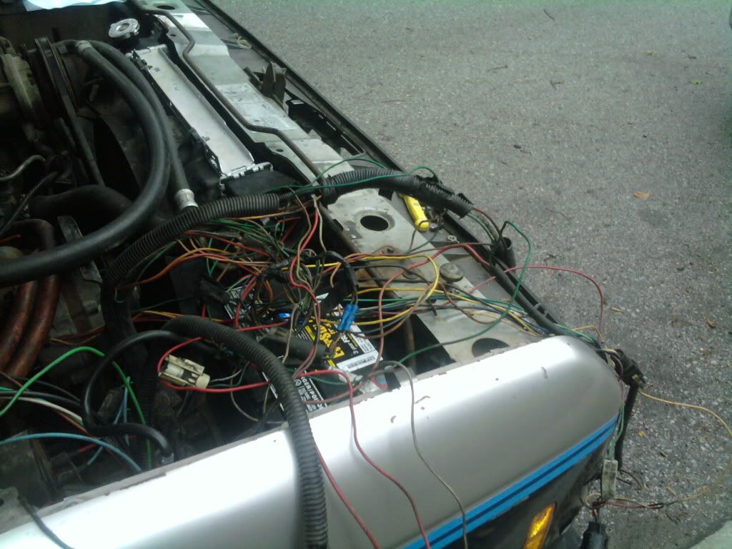 2010-09-19181602.jpg