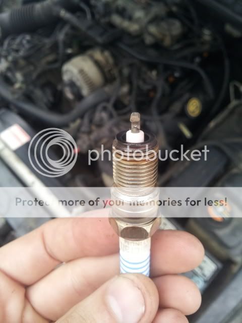 20131015_121626.jpg