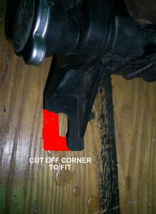 RADCORNER.jpg