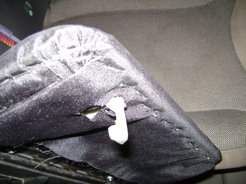 DSC01273.jpg