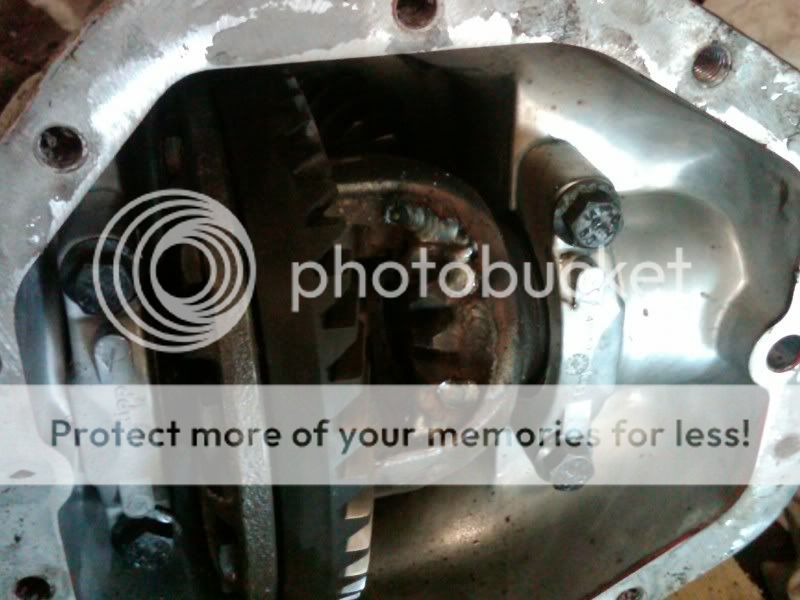 IMG00754-20110402-1454.jpg