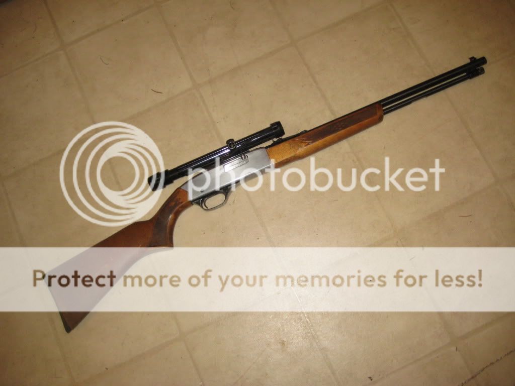 Firesticks001.jpg