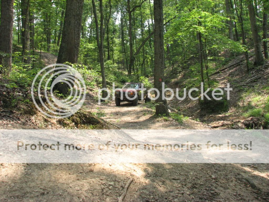 IMG_2146.jpg