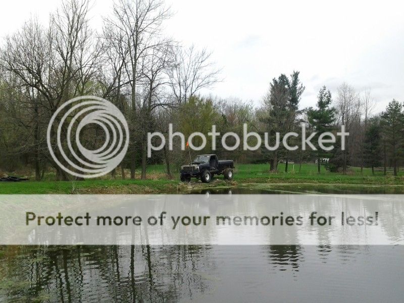 BuggyandRanger174.jpg