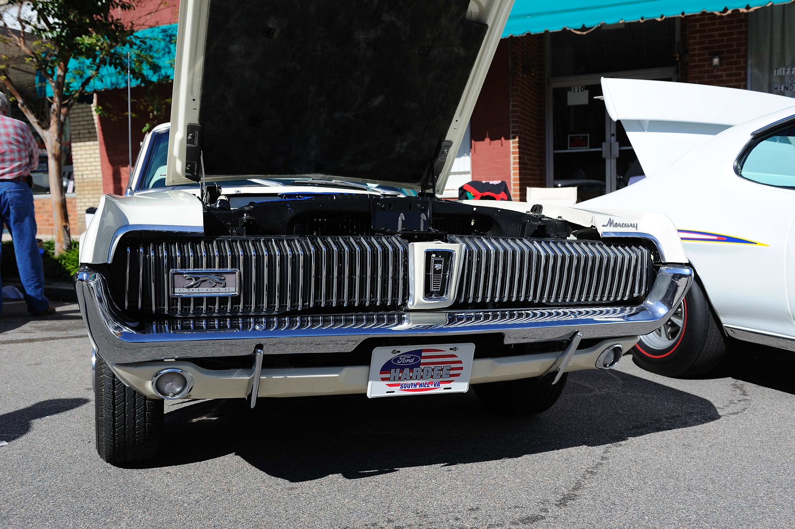 DSC0124-X3.jpg