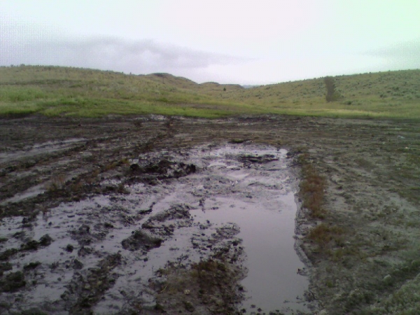 1_200808101929000.jpg