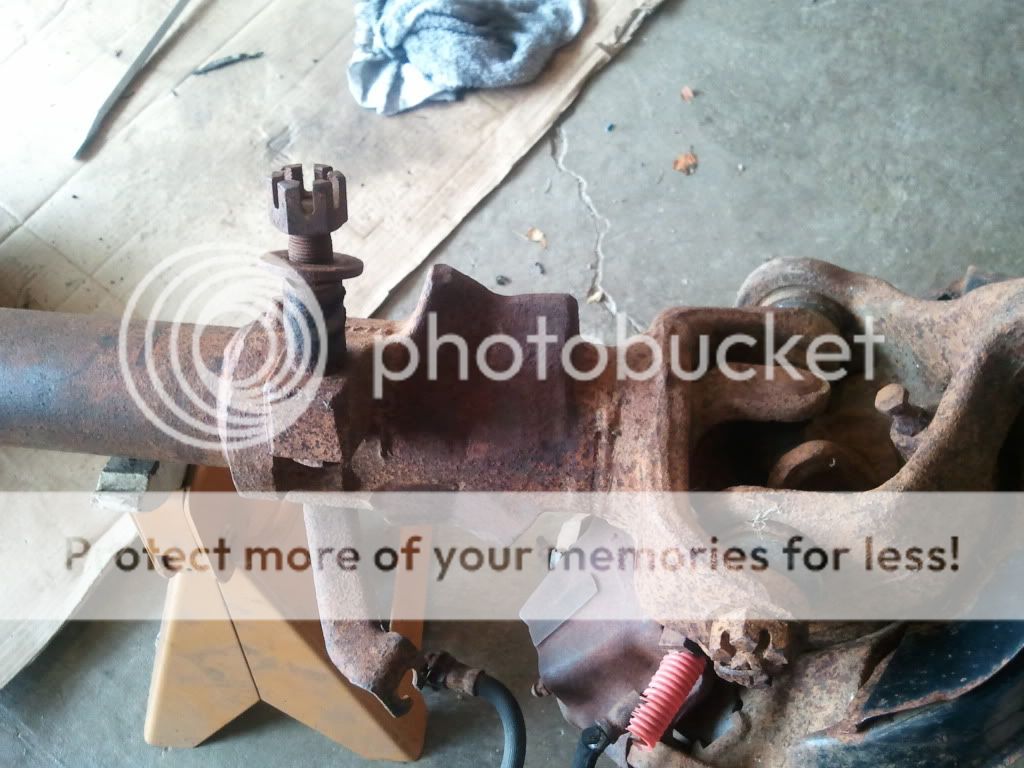 2011-06-26160633.jpg