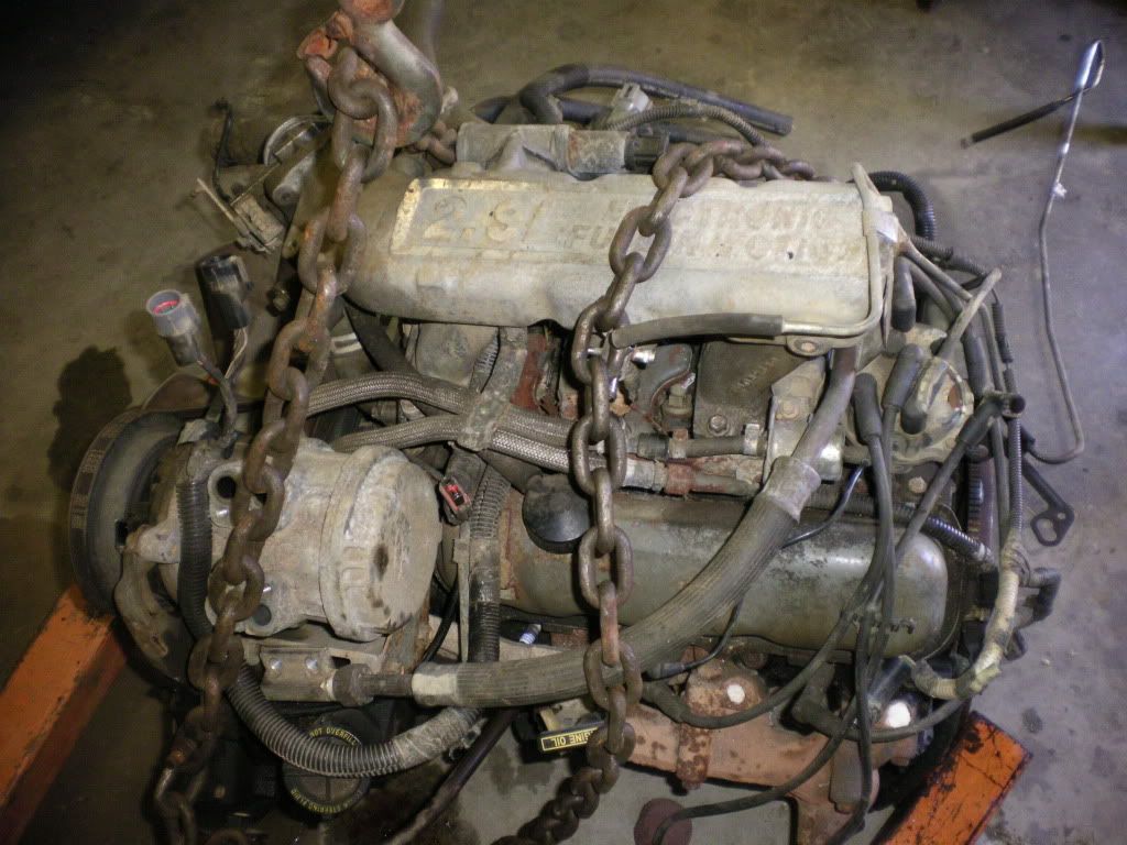 SANY0507.jpg