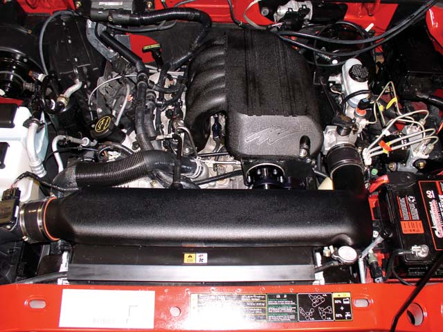 9088954.jpg