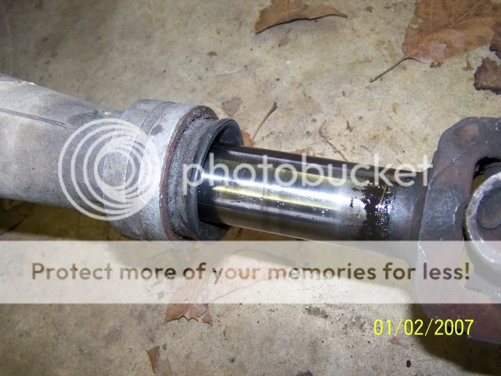 302045.jpg