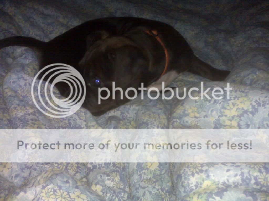 IMG00146.jpg