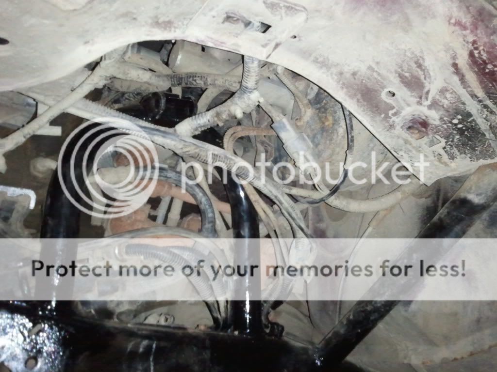 2011-08-16204209.jpg