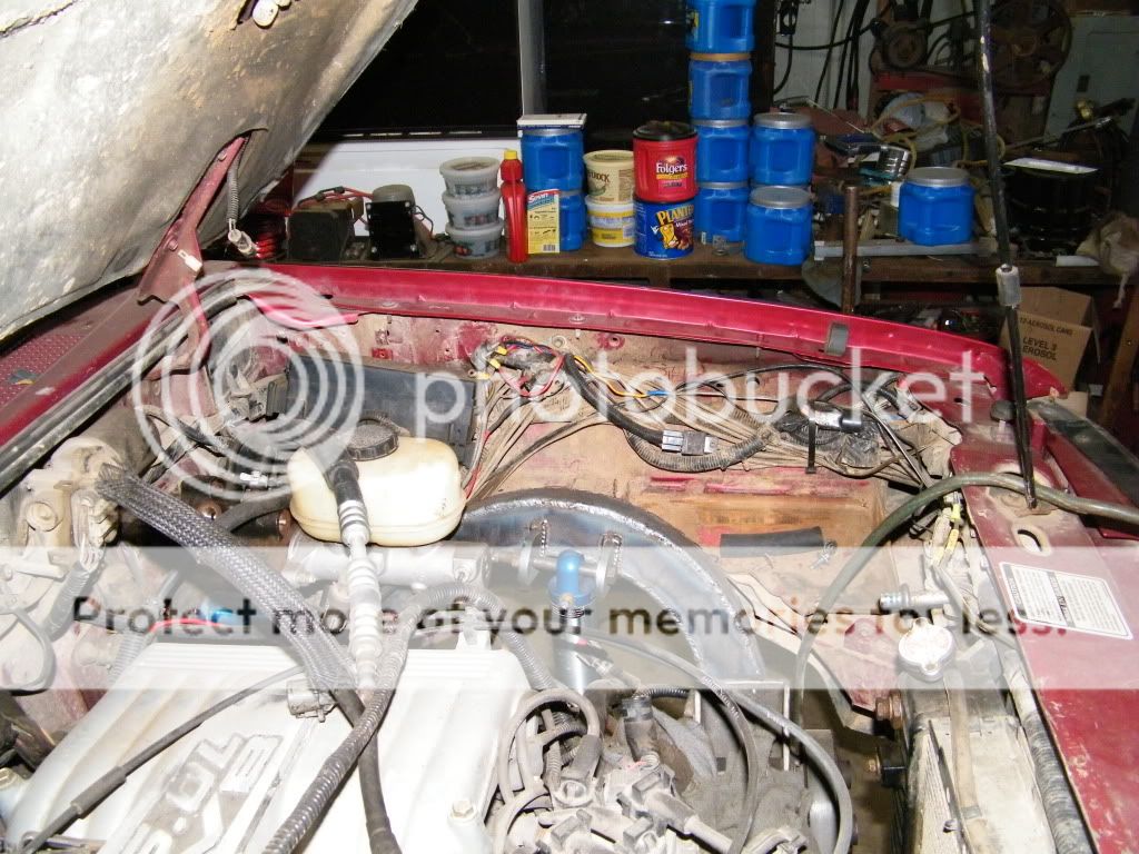 DSCF5557.jpg