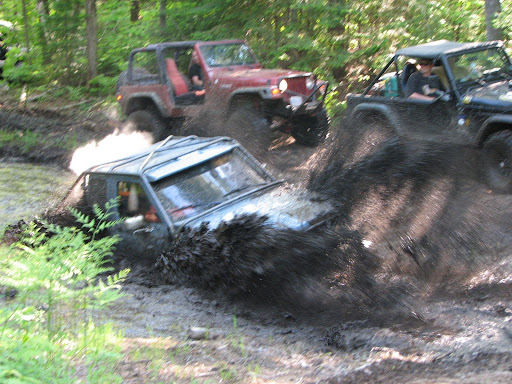IMG_4124.jpg
