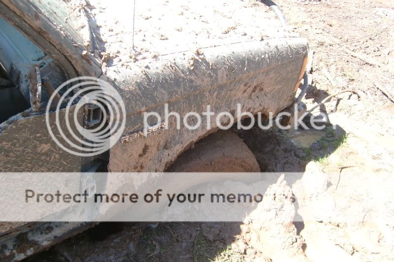 S7301144.jpg