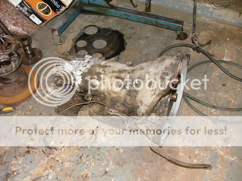 dana60003.jpg