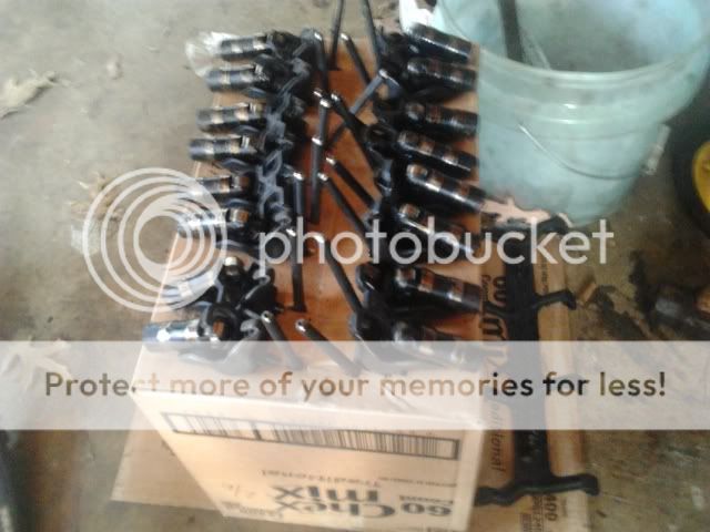 2012-03-17161043.jpg