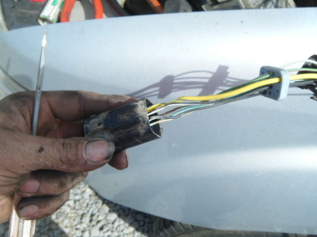 DSCF5604.jpg