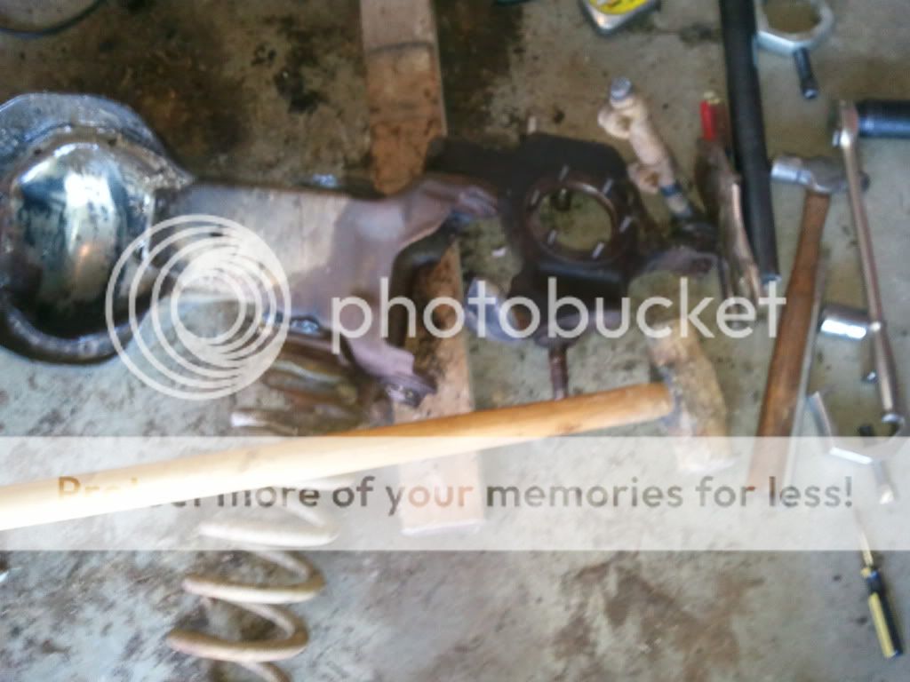 2011-01-29154954.jpg
