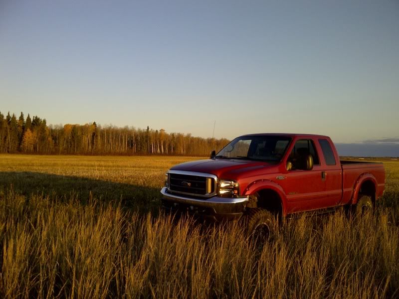 whitetail006.jpg