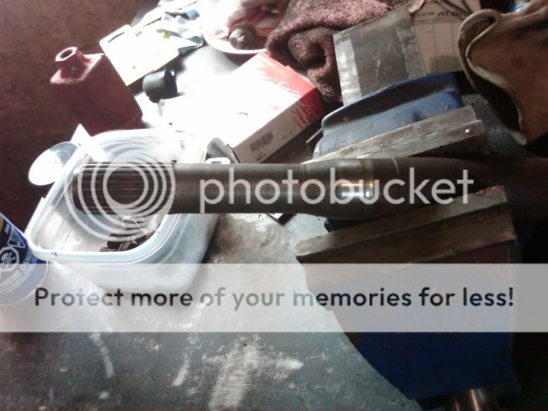 IMG00740-20110402-1128.jpg