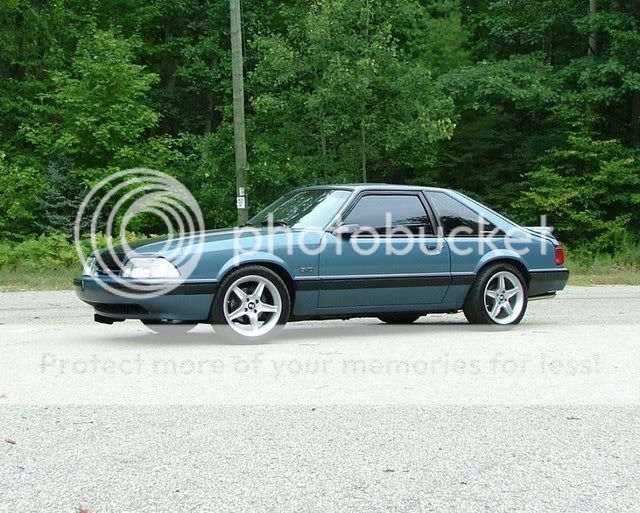 carshots2.jpg
