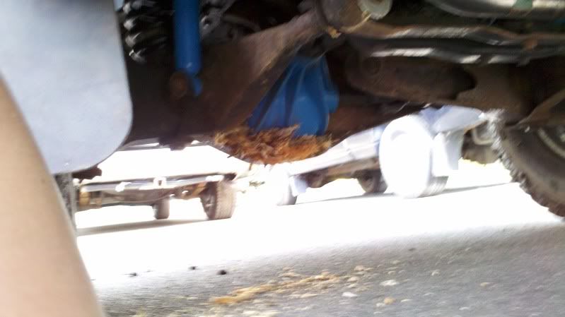 2011-05-07_17-12-38_843.jpg