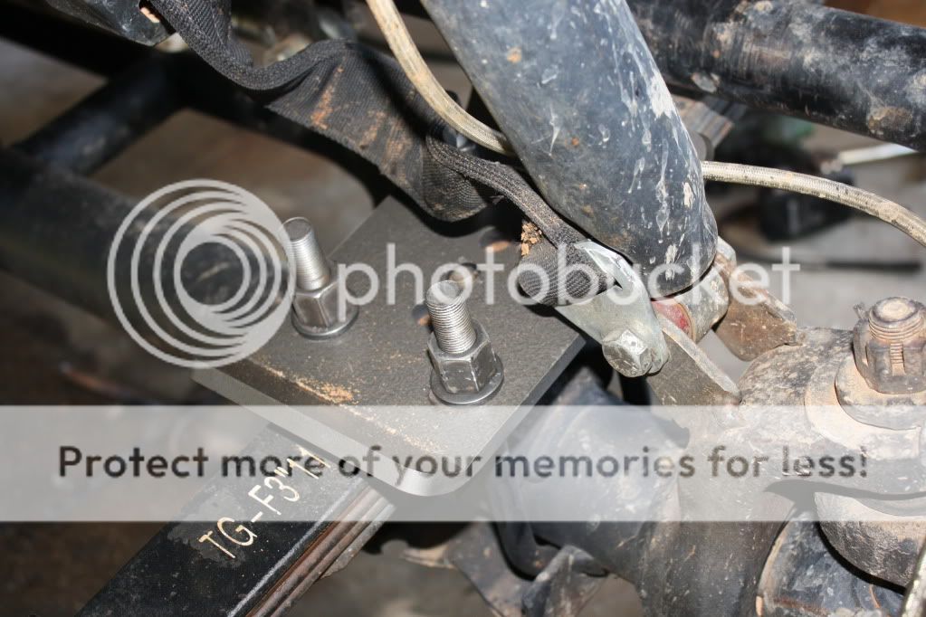 IMG_9877.jpg