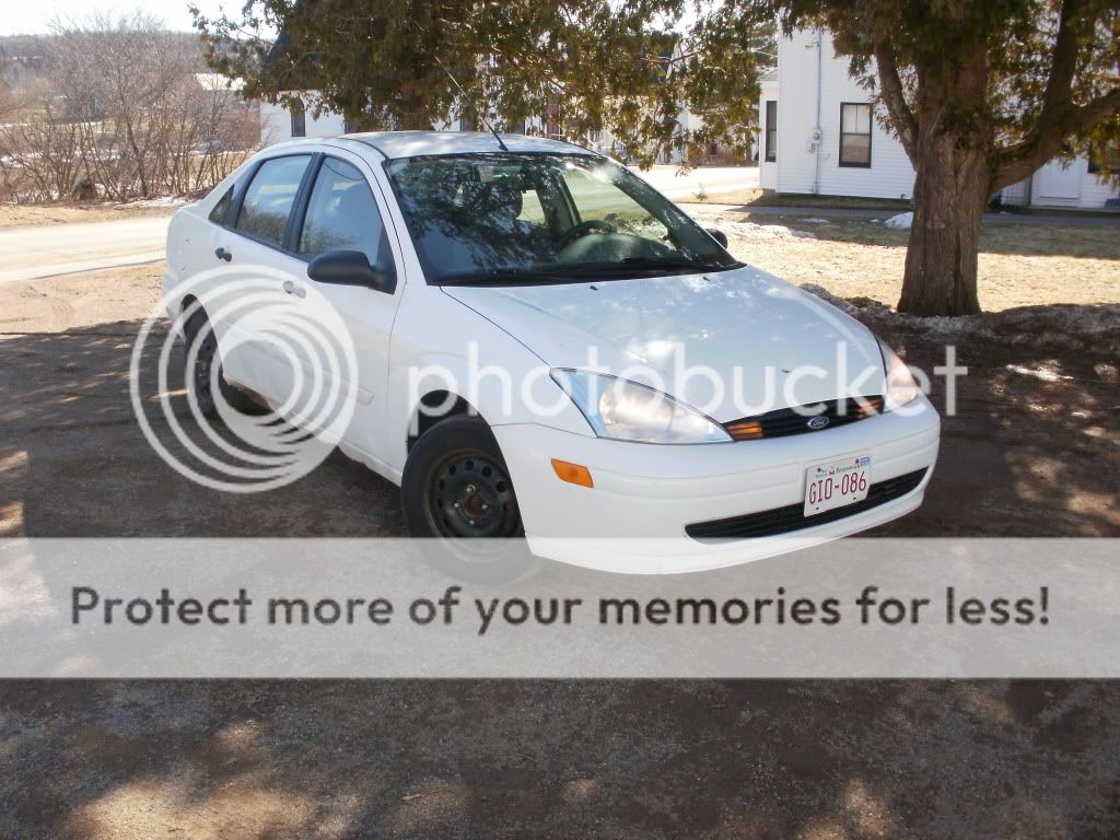 TheFocus003.jpg