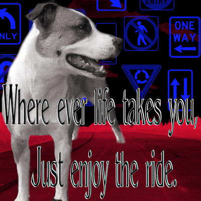 ivanride.png