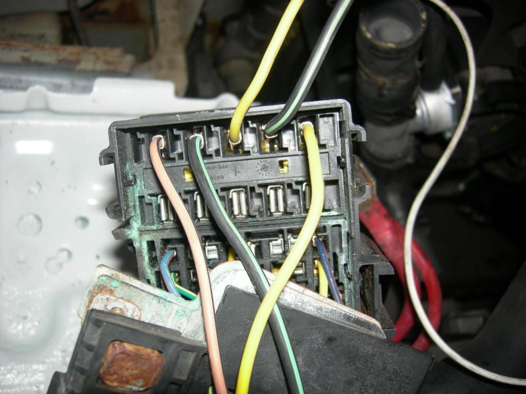 IMG_581_zps6a106daf.jpg