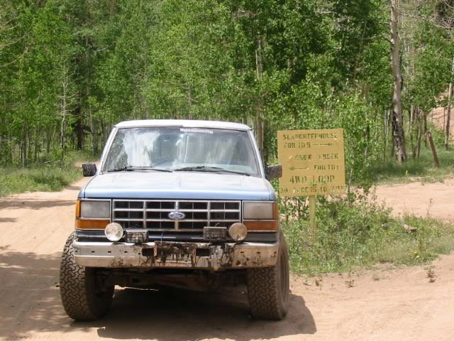 IMG_0825.jpg