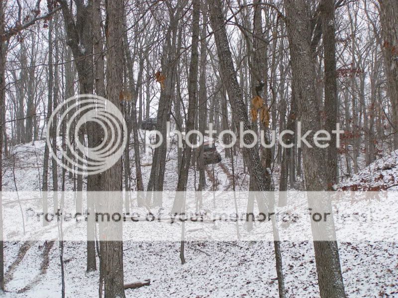 Dec122010060.jpg