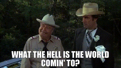 af7b5a8c-4e9a-4dbc-9423-9a4fb1de738c_text.gif