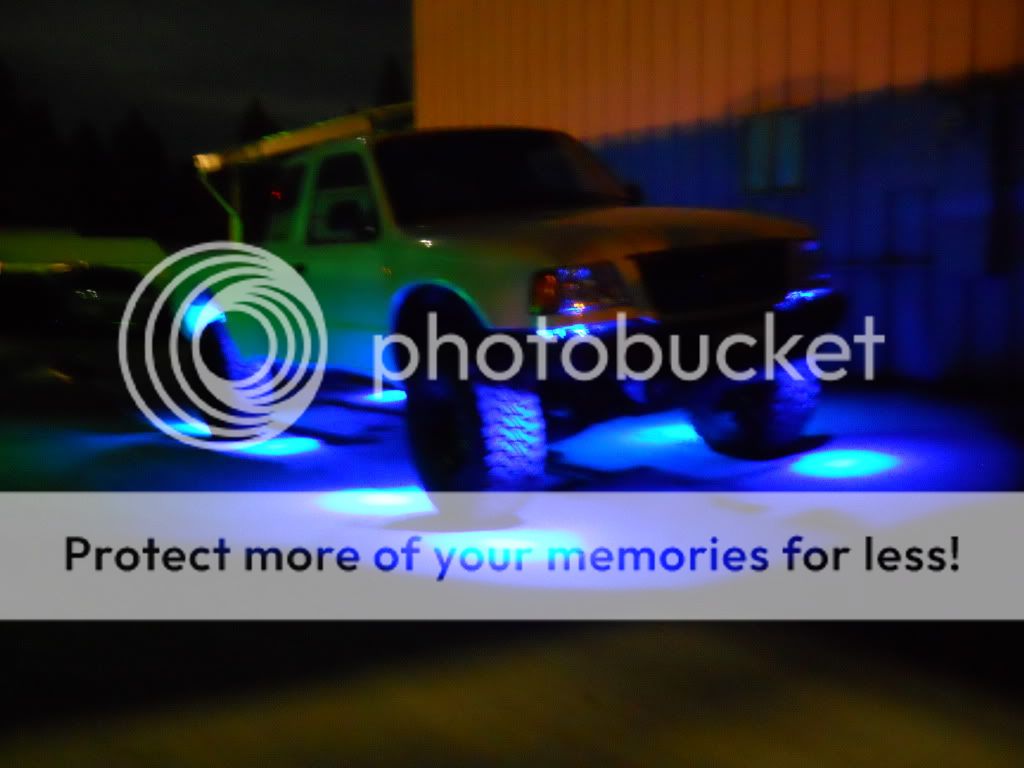 lights016.jpg