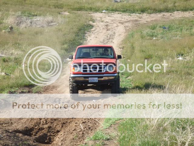Picture010-3.jpg