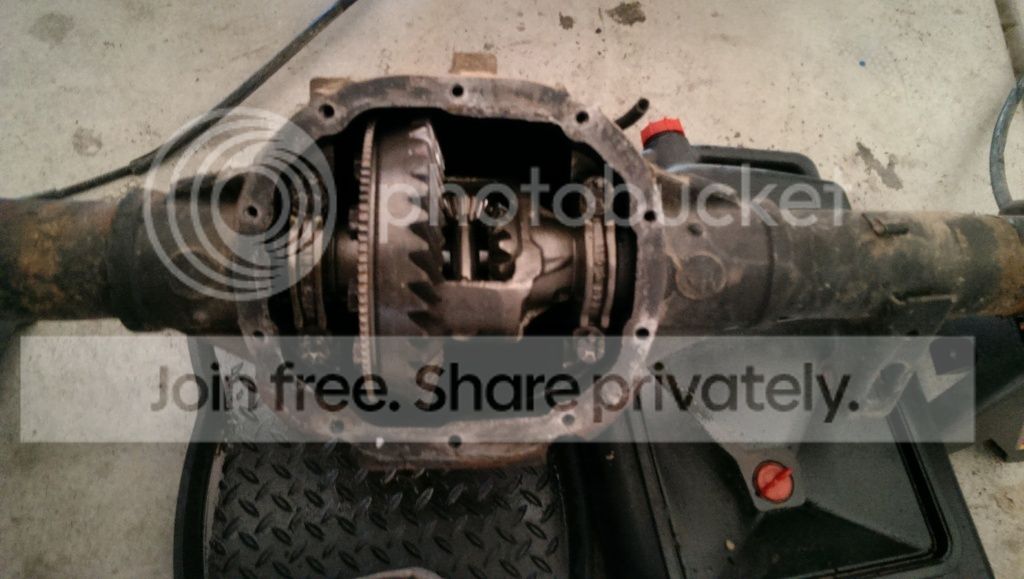 Bumble's Build Thread