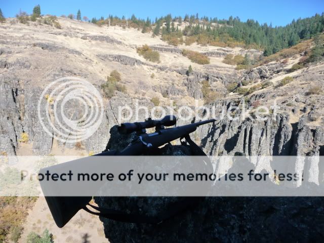 huntin017.jpg