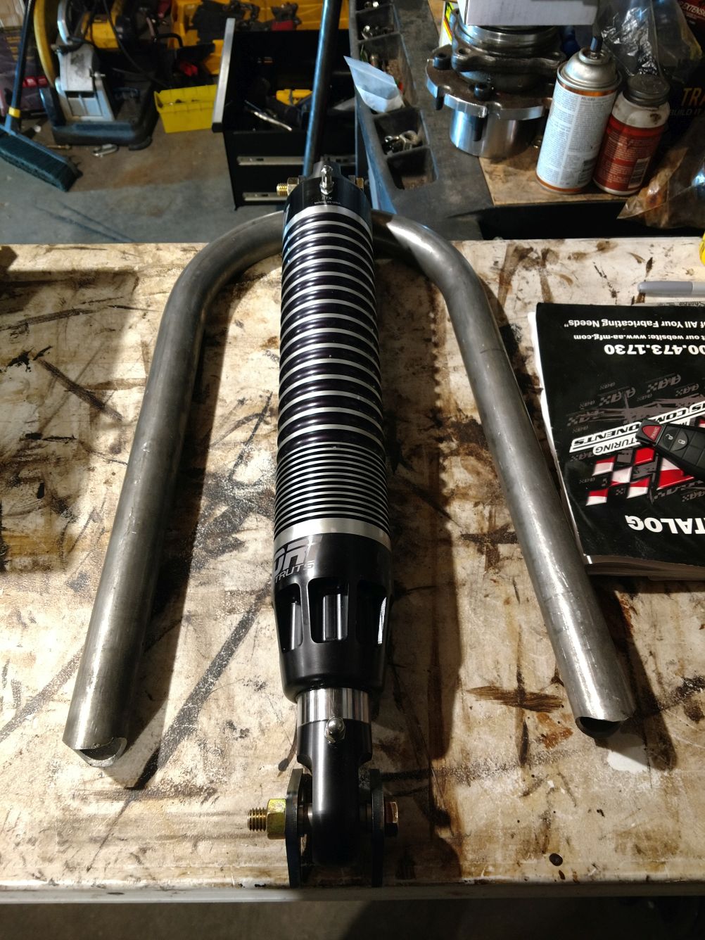 ranger81.jpg