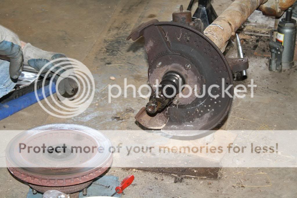 IMG_4652.jpg